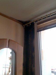 Obr. 1 Pklad vskytu plsn na vnitnm povrchu obvodov stny bytovho panelovho domu