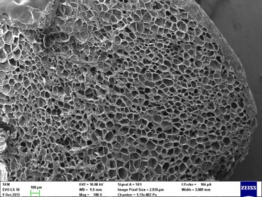 Obr. 9: Foto z elektronovho mikroskopu na strukturu EPS z cihel Family 2in1. Povrch granule EPS je uzaven, vnitn struktura je pravideln formovan.