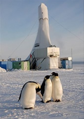 Vedeck zklada
Antarktda
