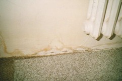 Foto . 3 – Vlhkost v obvodov stn a podlaze