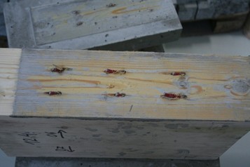 Obr. 6 Zpsob selhn vzorku: beton (nahoe), devo (dole) oddleny