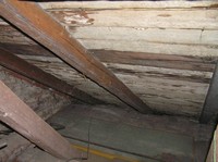 Obr. 9: Pohled zespodu na dřevěné bednění u šikmé střechy s výskytem plísní