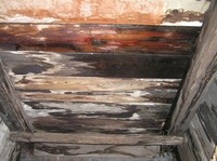 Obr. 4: Nadměrná vlhkost dřevěného bednění šikmé střechy způsobená srážkovou vodou v důsledku netěsnosti skládané střešní krytiny
