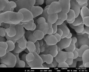 Obr. 2a Nanoastice ZnO (30–50 nm) pod SEM mikroskopom [12]