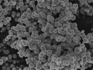 Obr. 2b Nanoastice TiO₂ (10–20 nm) pod SEM mikroskopom [12]