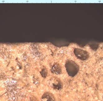 Obr. 3 B: Zvten a zobrazen nerovnost povrchu dubovho deva pomoc konfoklnho laserovho scanovacho mikroskopu
