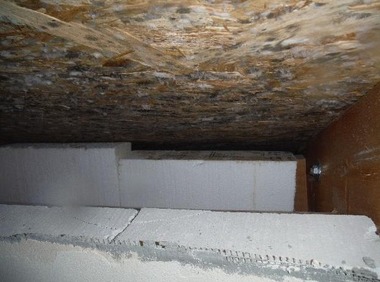Obr. 25: Pohled na vskyt plsn na povrchov zkondenzovan vlhkosti OSB zklopu sten konstrukce, infiltrace vzduchu, any u Brna