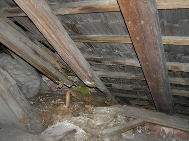 Obr. 1: Poškození krokví kostela sv. Barbory v Otovicích dřevomorkou