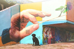 Ukzky mural artu ze svta