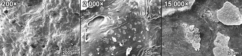 Obr. 5 Mikrofotografie vnějšího povrchu pěnového skla ze SEM