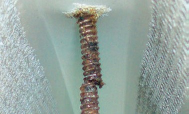 Obrzek 2: Koroze ocelovho zvitotvornho roubu v interiru