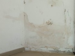 Vlhkostí zdí po čase způsobuje viditelné problémy