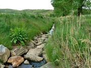 Pohled na tůňky a revitalizaci potoka (Foto: Ing. arch Petr Brandejský)