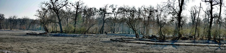 Kaskády s břehy, zatopenými bárkami a dno rybníka (Foto: Ing. arch. Petr Brandejský)