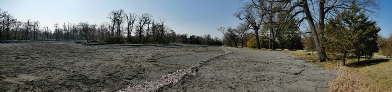 Stav ke konci března 2022 – uprostřed zasanovaný a rozšířený břeh, vlevo dno rybníka (Foto: Ing. arch. Petr Brandejský)