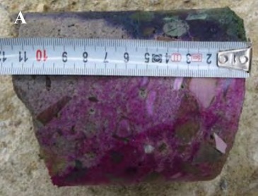 Obrázok 1 Hĺbka karbonatizácie starého betónu; A – pod pôvodnou omietkou pred rekonštrukciou