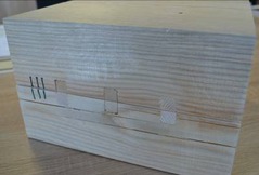Obr. 1b: Dokumentace modelů ze smrkového dřeva pro exponování mikrovlnným zářením (Thermo Sanace s.r.o.)