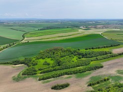 Pohled na krajinu z dronu s vegetac a biokoridory (Fotografie – Michal Brandejsk)