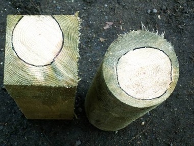 Obr. 3 Tlakov impregnace u borovice