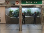 Prostor pro živé rostliny Metrorost v prostoru metra ve stanici Můstek, foto redakce