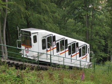 Lanov drha Diana, Karlovy Vary. Foto: Roman Kuera (LESENSKY.CZ)