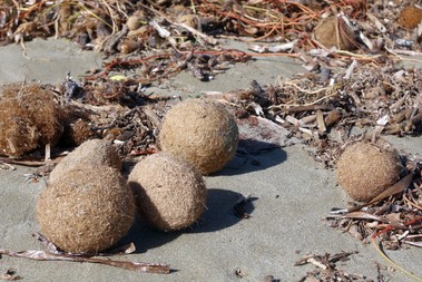 Neptunovy koule