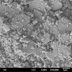 Obr. 1c: Vvoj hydrogelu ve vpenn kai (kae po 3 mscch)