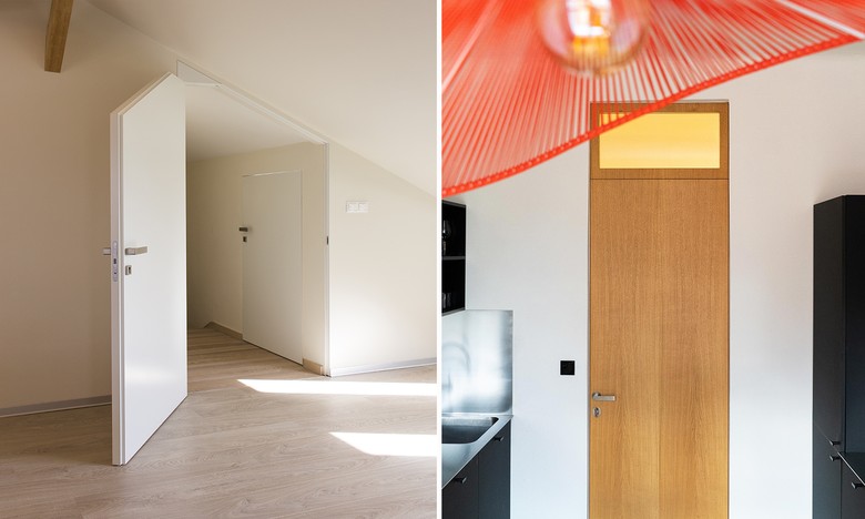 Variabilita konceptu Dorsis