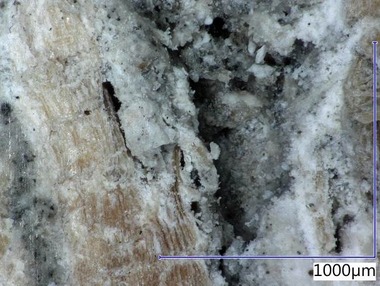 Obr. 15b Mikrostruktura modifikovaného materiálu 03PR – po vystavení prostředí s proměnlivou relativní vlhkostí