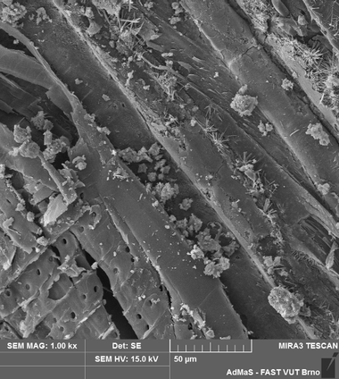 Obr. 17b Mikrostruktura desek 02SM po vystavení proměnlivé relativní vlhkosti okolního prostředí