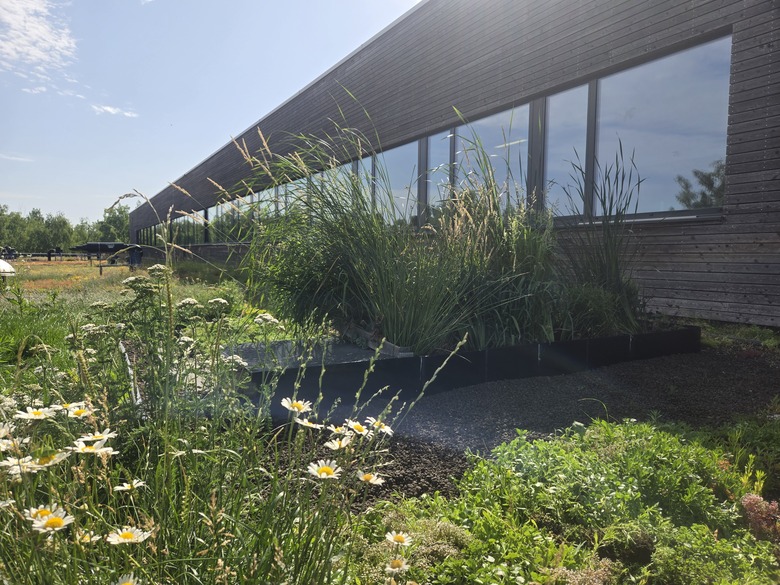 Obr. 3. Hybridní zelená střecha na budově ČVUT UCEEB v Buštěhradě, realizace srpen 2024