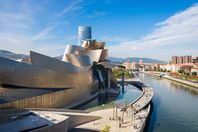Guggenheimovo museum, Bilbao, architekt Frank Gehry