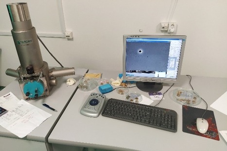 Obr. 4b Preparáty pre SEM analýzy: mikroskopické pozorovanie alfa častíc pomocou SEM Tescan Vega
