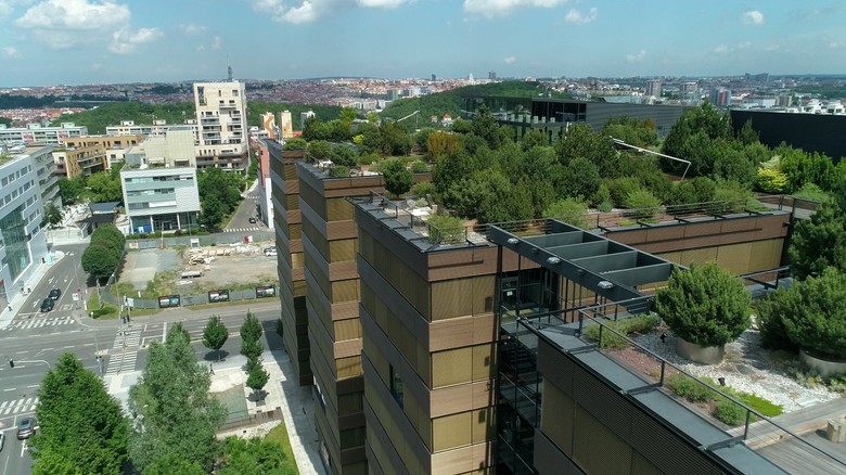 Zelené střechy a fasády nejsou jen vegetace. O jejich fungování rozhoduje už návrh