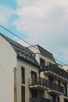 Zdroj: Pexels