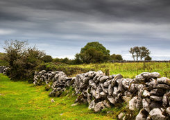 Zídky v regionu Connemara. Zdroj: Pexels