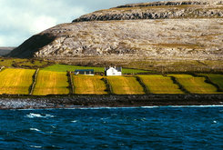Krajina v Inishmore. Zdroj: Pexels
