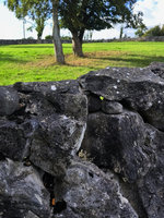 Zídky složené z obrovských bloků vápence – oblast Galway. Foto: Petr Brandejský
