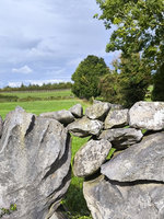 Zídky z vápence v dramatickém seskupení – oblast Galway. Foto: Petr Brandejský
