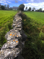 Zídky z vápence v dramatickém seskupení – oblast Galway. Foto: Petr Brandejský