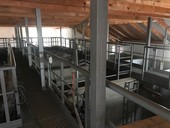 Zastřešená čistírna odpadních vod v Řitce
