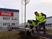 Szen strom u Brno Airport Park, foto Accolade